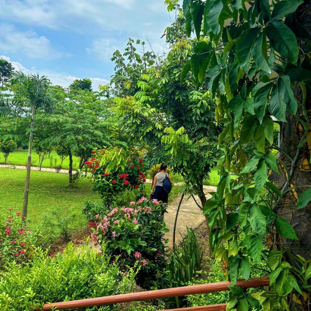 Hotel Greenland Safari Sauraha Ngoại thất bức ảnh