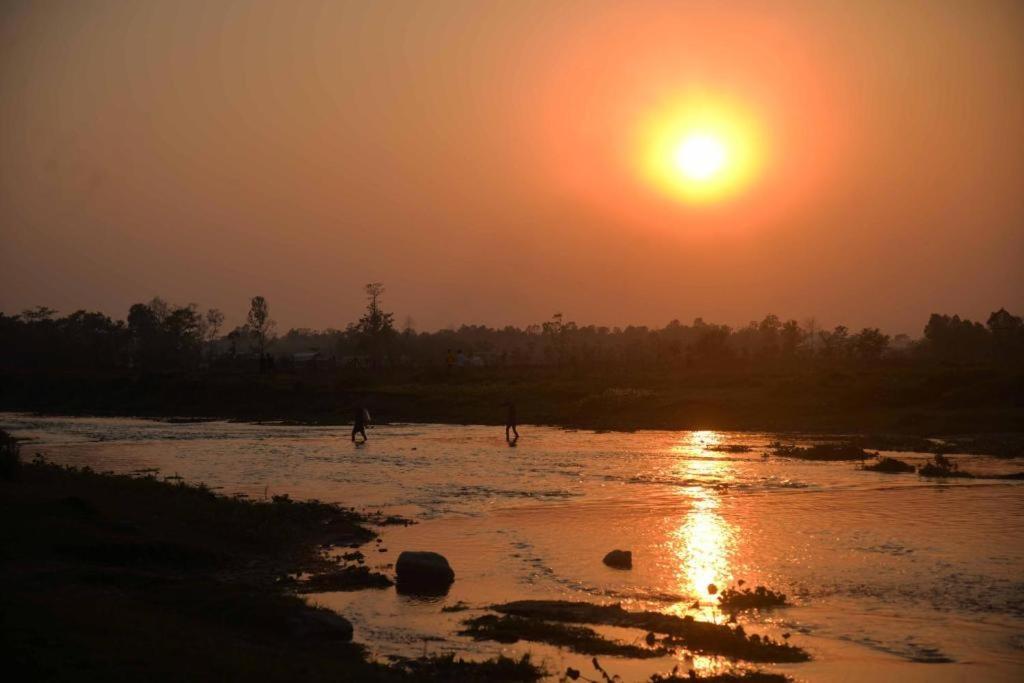 Hotel Greenland Safari Sauraha Ngoại thất bức ảnh